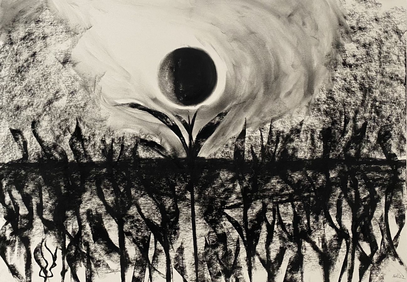 Kohlezeichnung "moon flower" von Heiko Scheidweiler